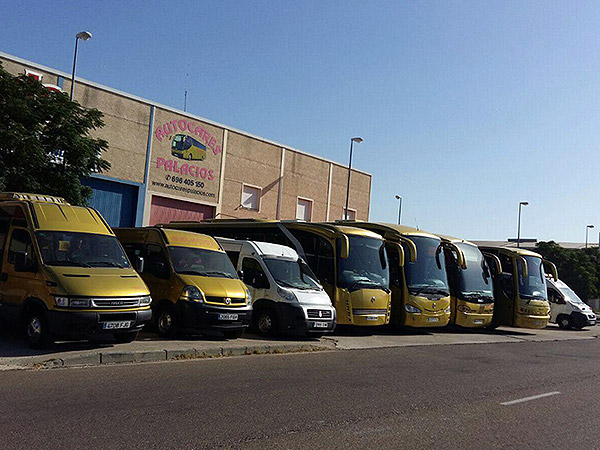 Autobuses Palacios: La flota 8